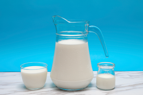 为什么最好的驼奶在内蒙？代理骆驼奶粉省市级