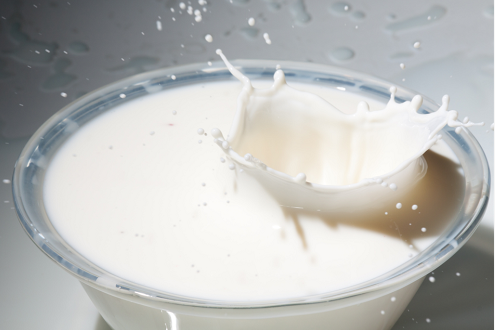 四个特征，教你如何辨别骆驼奶粉的品质优劣