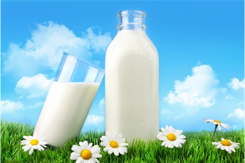 最接近母乳的驼奶为什么宝宝不能喝