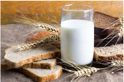 骆驼奶粉厂家介绍驼奶的食用方法