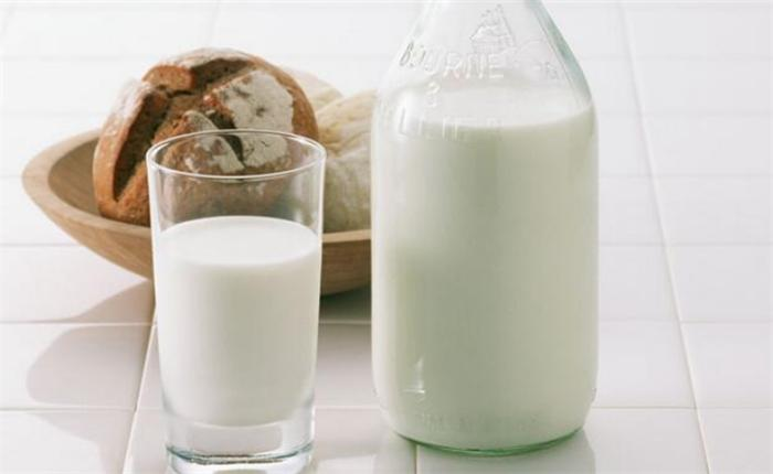 驼奶粉代理讲解驼奶口味怎么样