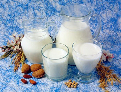 驼奶粉代理介绍驼奶和羊奶有什么区别