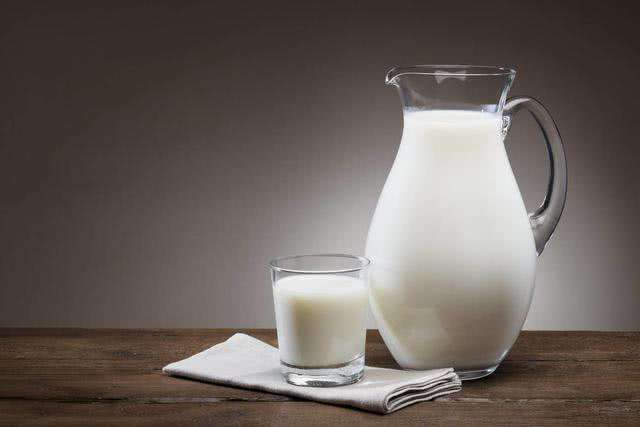 驼奶粉代理介绍驼奶和牛奶怎么选择