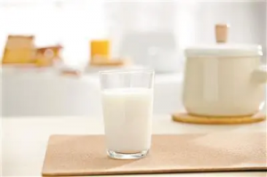 驼奶粉代理讲解驼奶粉严格的生产工艺