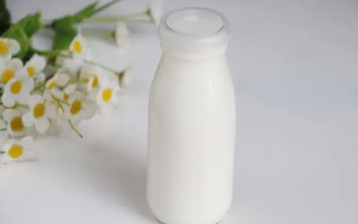 驼奶厂家讲解驼奶稀少的原因