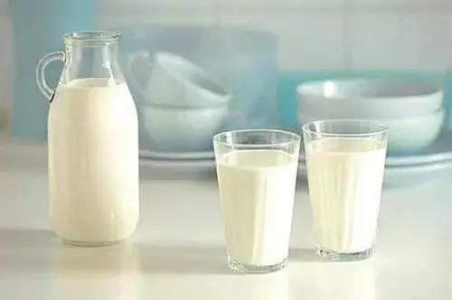 驼奶厂家讲解喝奶粉有什么禁忌