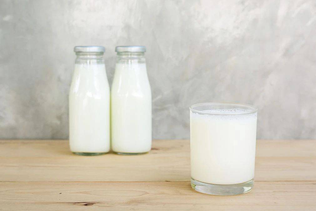 驼奶厂家介绍驼乳掺假如何鉴别