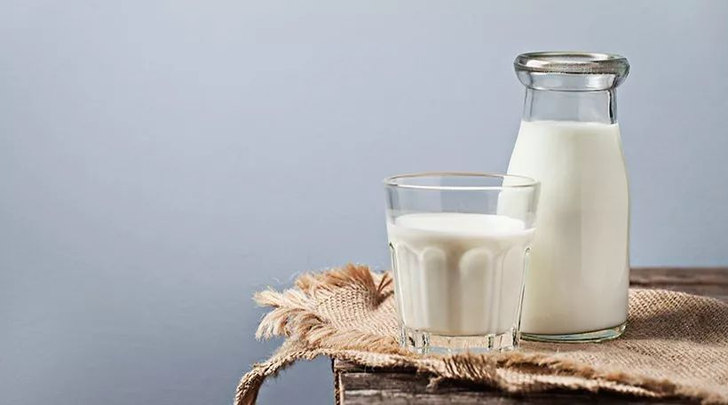 驼奶厂家谈驼奶比牛奶贵的原因