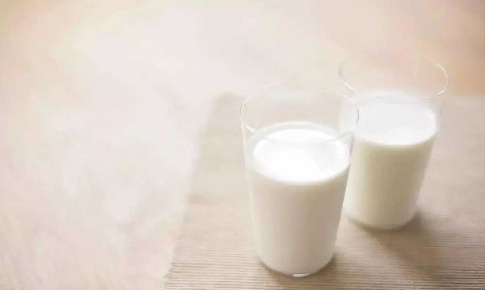 驼奶厂家介绍驼奶为何价格这么高