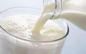 驼奶厂家介绍驼奶粉为什么是黄色的